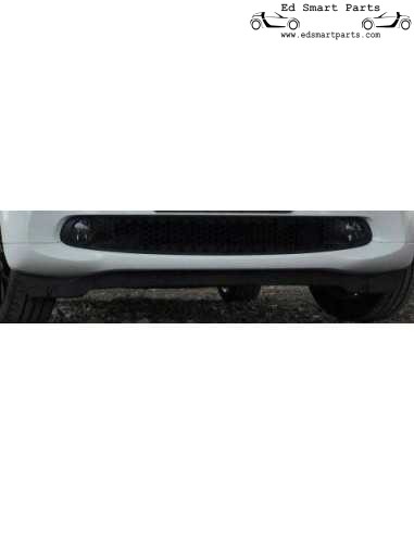 Schwarz / Rauch Nebelscheinwerfersatz Smart Fortwo ForFour 453