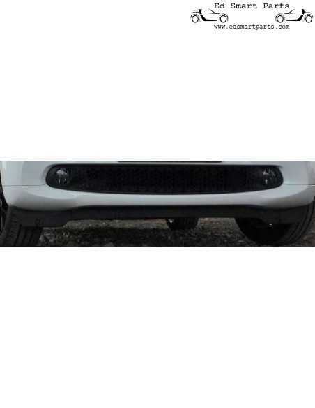 Schwarz / Rauch Nebelscheinwerfersatz Smart Fortwo ForFour 453