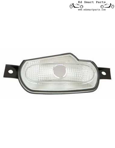 Smart ForTwo / ForFour 453 front indicator front left or right