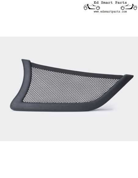 originele OEM Smart Fortwo 451 Deurnet