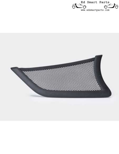 Rete porta originale OEM Smart Fortwo 451