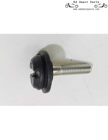 Vite M6 per montaggio accessori smart fortwo 450