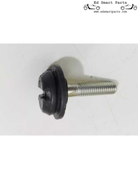 Tornillo M6 para montaje de accesorios smart fortwo 450