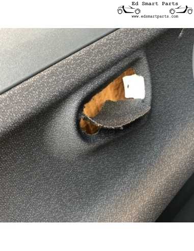 Conjunto de painéis de porta Smart Roadster cinza esquerdo e direito