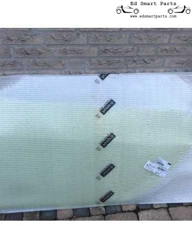 Panel de puerta Smart Fortwo 450 Cabrio VERDE LIMÓN