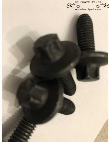 Pernos de bisagra de puerta para smart roadster 452