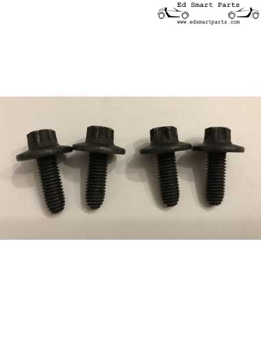 bulloni cerniera porta per smart roadster 452
