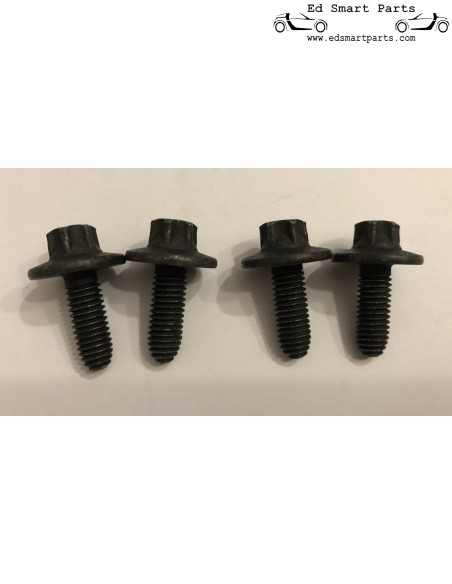 door hinge bolts for smart roadster 452