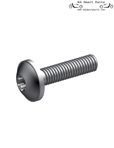 Bullone esagonale M6 interno smart fortwo 451
