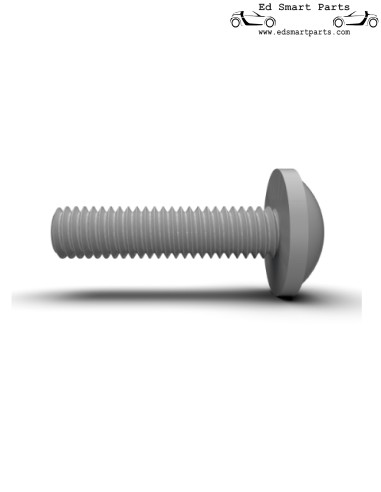 Bullone esagonale M6 interno smart fortwo 451