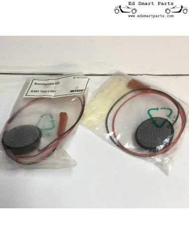Sistema de som Brabus Smart Roadster original, item de colecionador ultra-raro