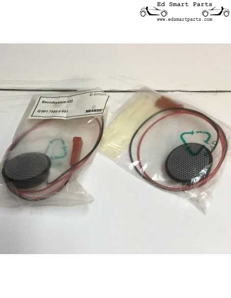 Sistema de som Brabus Smart Roadster original, item de colecionador ultra-raro